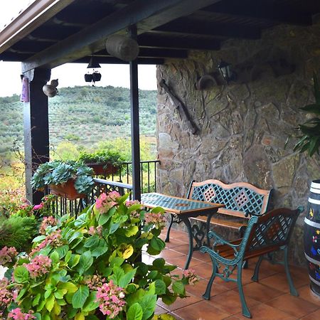 Casa Rural Los Olivos Sotoserrano Exterior photo